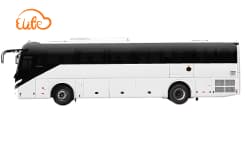 Coach