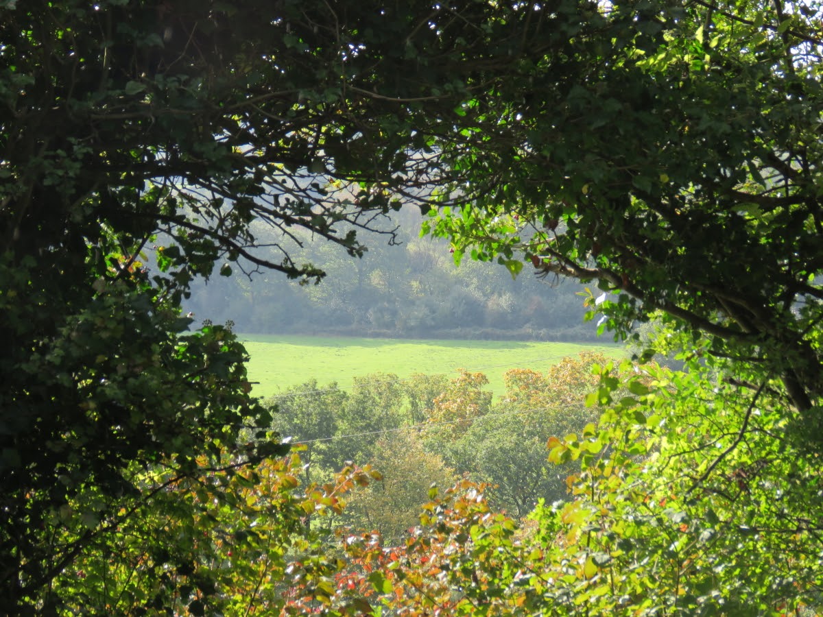 London Gatwick Airport Lgw Transfers London Gatwick Airport Lgw Taxis Shuttles And Save 10 Hoppa