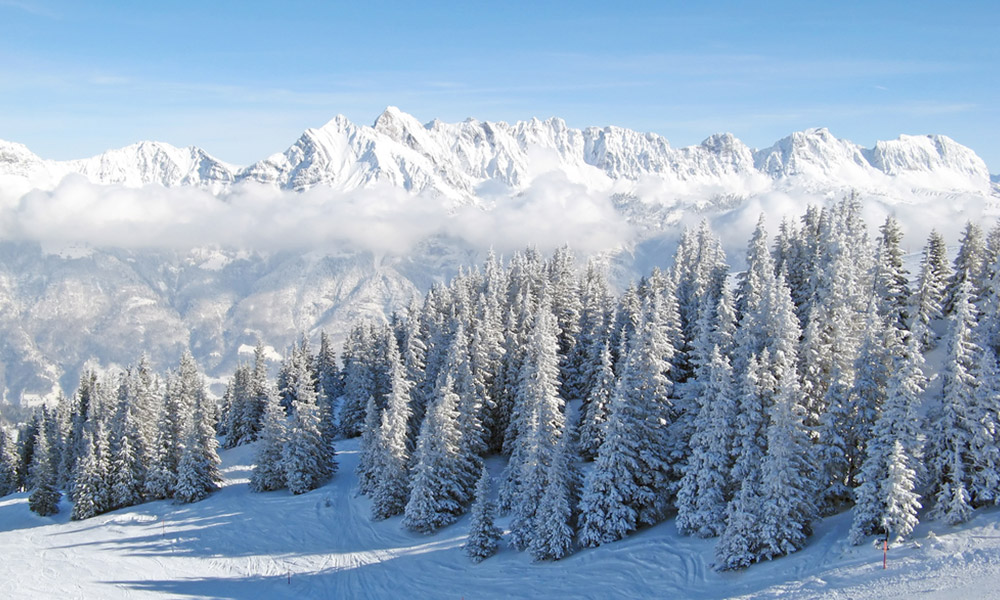The Swiss Alps
