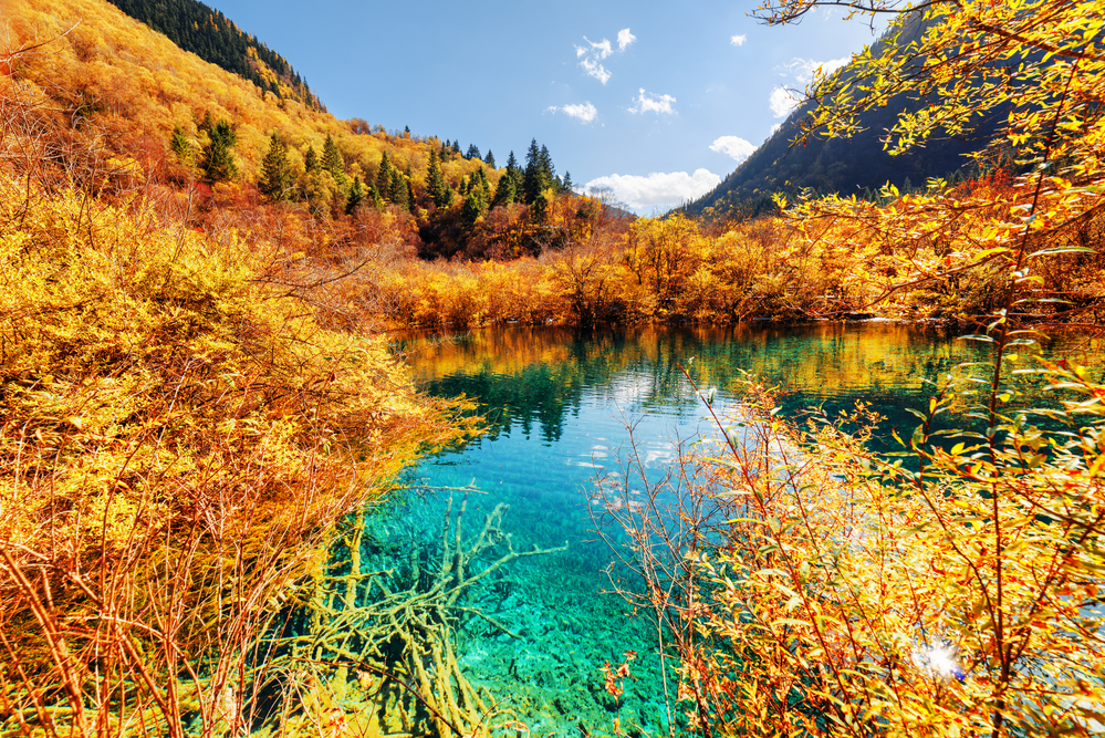 Beautiful Autumn Landscape